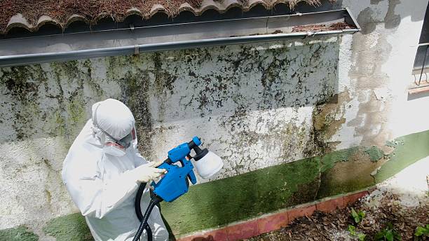 Top rated local Attic Mold Remediation specialists in La Vergne, TN